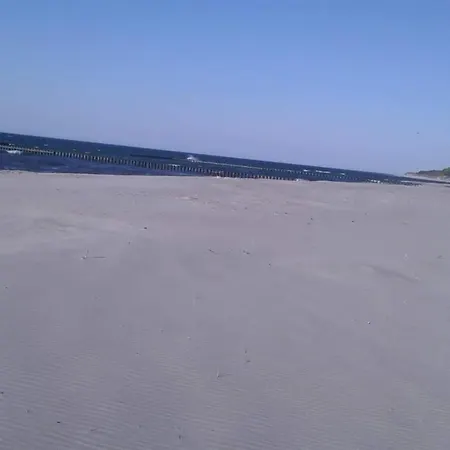 Chabrowa Perla * Ярославец