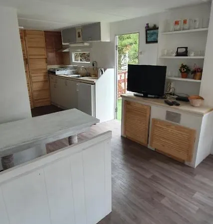 Chabrowa Perla Проживание в семье