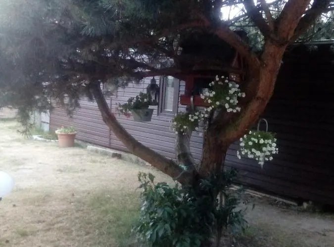 Chabrowa Perla ホームステイ ヤロスワビエツ